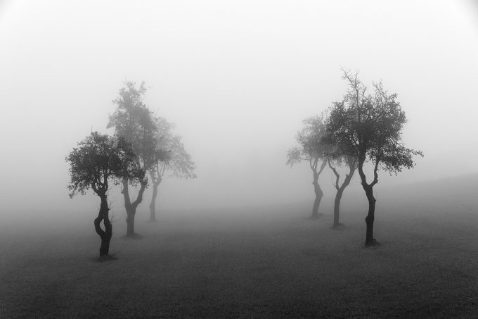 Nella Nebbia