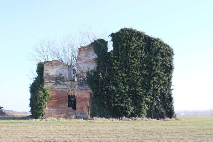 L'abbandono-allo-stato-primordiale