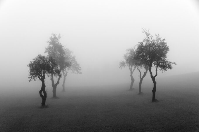 Nella Nebbia