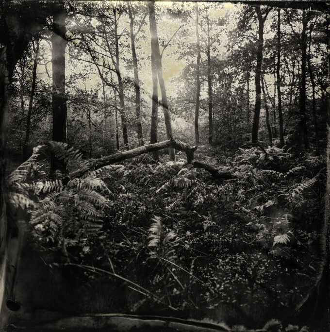 № 1888 Les Mezures