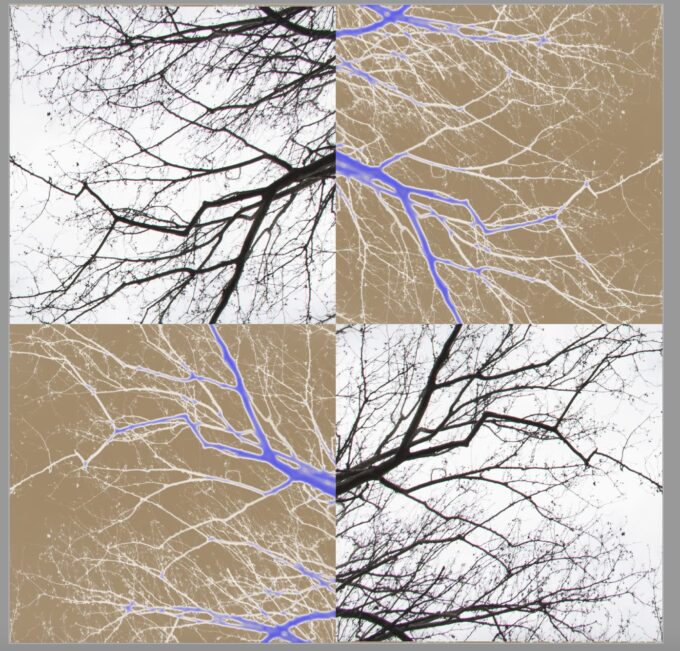 MOSAICO_BASSOLI MARCO