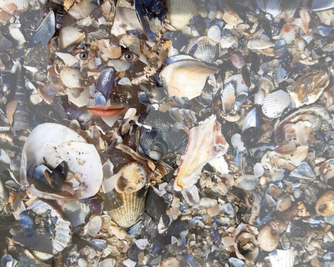 Texture - Iris Chiesi