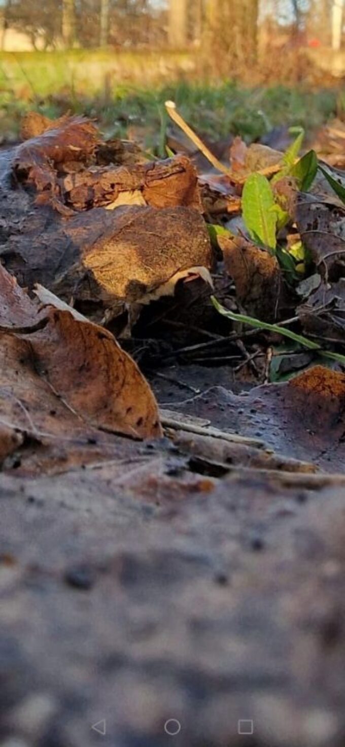 DALLE TENEBRE ALLA LUCE