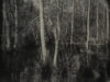 № 1894 Sugny